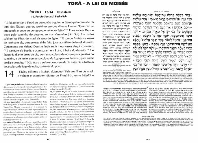Significado de elohim no original hebraico • Projeto Bíblico Ezra